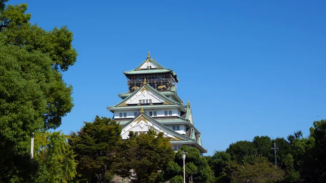 Osaka Castle 2 Osaka Japan by Don Ramey Logan
