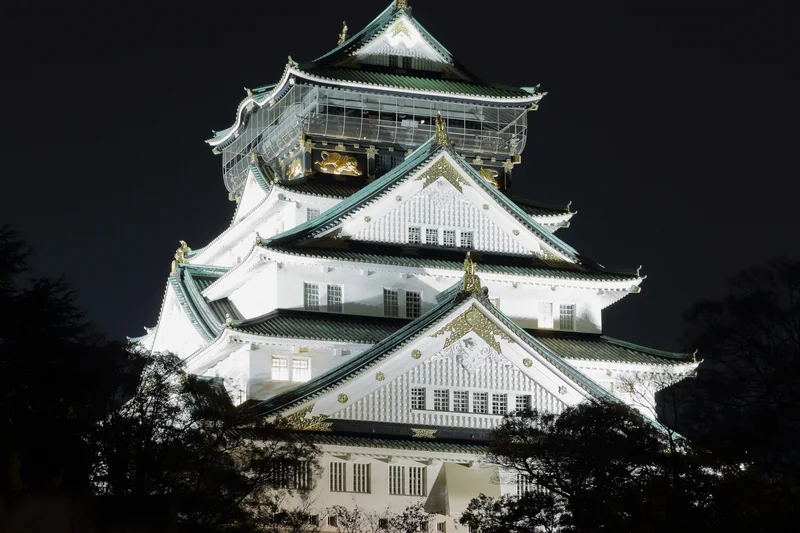 Osaka Castle at Night, November 2016